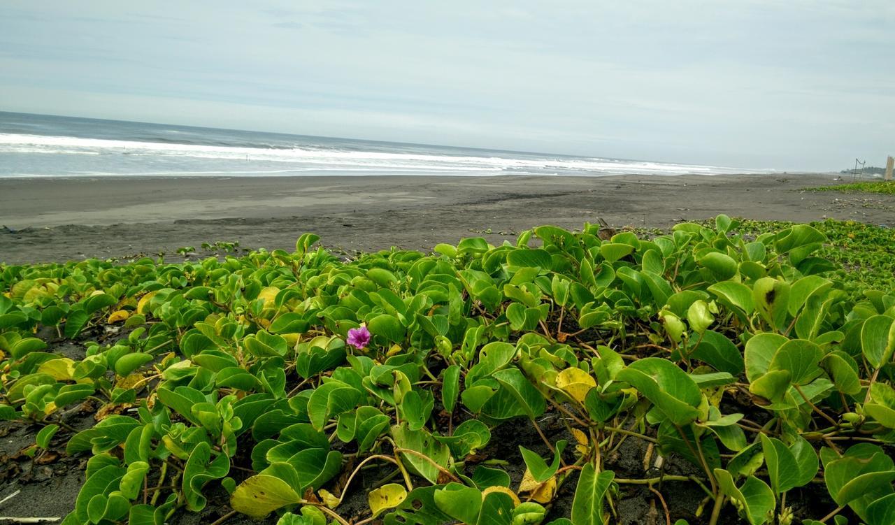 Eco-Hotel Playa Quilombo Las Lisas Exterior photo